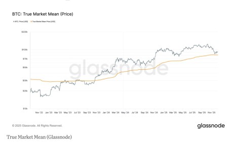 ������ָ����ʾ���ر��ڽӽ� 80,000 ��Ԫʱ���ǿ��֧��