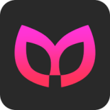 ����Ӱ��